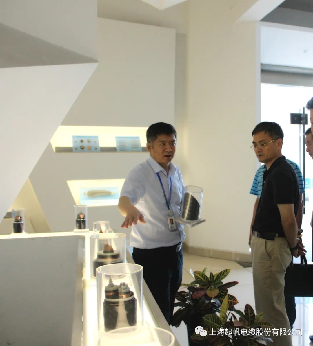 起帆电缆总工程师韩宝忠喜提金山工匠